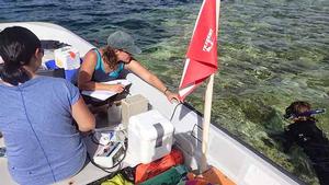 WHOI postdoctoral investigator Tong Zhang (left) and WHOI associate scientist Colleen Hansel (right) monitor real-time data while MIT/WHOI Joint Program student Laura Weber (in water) holds the sampling tube in place over the coral. The team took superoxide measurements and samples from six different shallow reef sites during their week-long field visit. photo copyright Amy Apprill, Woods Hole Oceanographic Institution taken at  and featuring the  class