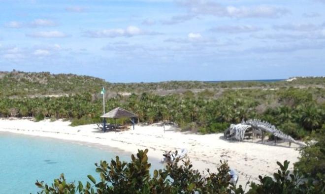 A 62’ blue whale skeleton displayed on the beach died from ingesting plastic. © Bluewater Cruising Association