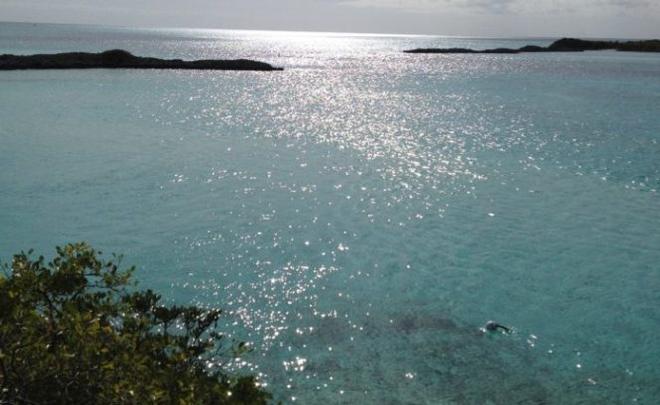 There was spectacular snorkeling at these Warderick Wells Cay reefs. © Bluewater Cruising Association