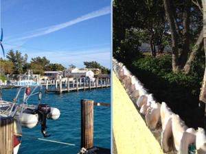 Brown’s Marina, Bimini harbour and a conch wall in Alice Town. photo copyright Bluewater Cruising Association taken at  and featuring the  class