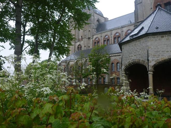Veere Church and spring wild flowers © SV Taipan