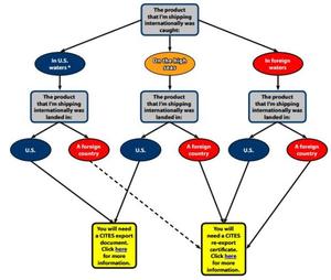 Exporter flow chart photo copyright www.fws.gov taken at  and featuring the  class