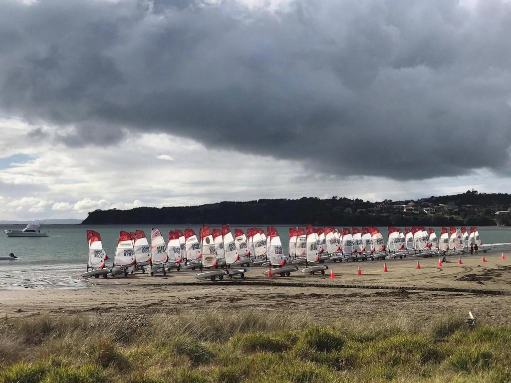 87 O'pen BIC's on Manly Beach  - 2017 Forward Sailing Winter O'pen BIC Cup © Bryce M