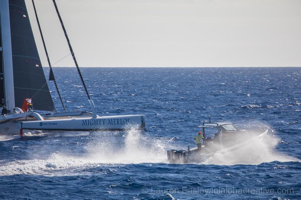 Mighty Merloe first multihull to complete the 2017 Transpac ©  Lauren Easley / leialohacreative.com