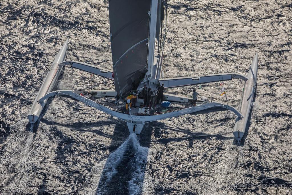 Mighty Merloe first multihull to complete the 2017 Transpac ©  Lauren Easley / leialohacreative.com