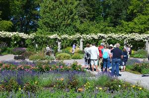 Visby botanical Garden - ARC Baltic 2017 photo copyright World Cruising Club taken at  and featuring the  class