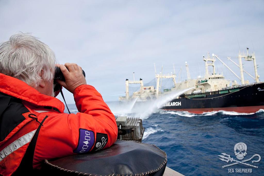 Captain Paul Watson look to Nisshin Maru with his binoculars photo copyright Sea Shepherd taken at  and featuring the  class