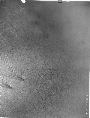 In 1924, these two submarines were photographed from the air cruising through the Hudson River photo copyright  National Archives taken at  and featuring the  class