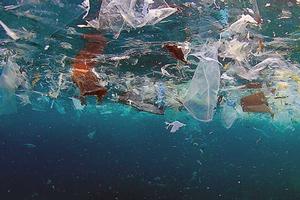 Trash in the water photo copyright Shutterstock.com / Rich Carey taken at  and featuring the  class