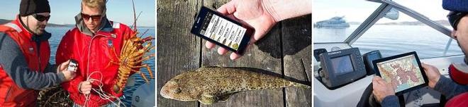 Tas Fish Guide © DPIPWE