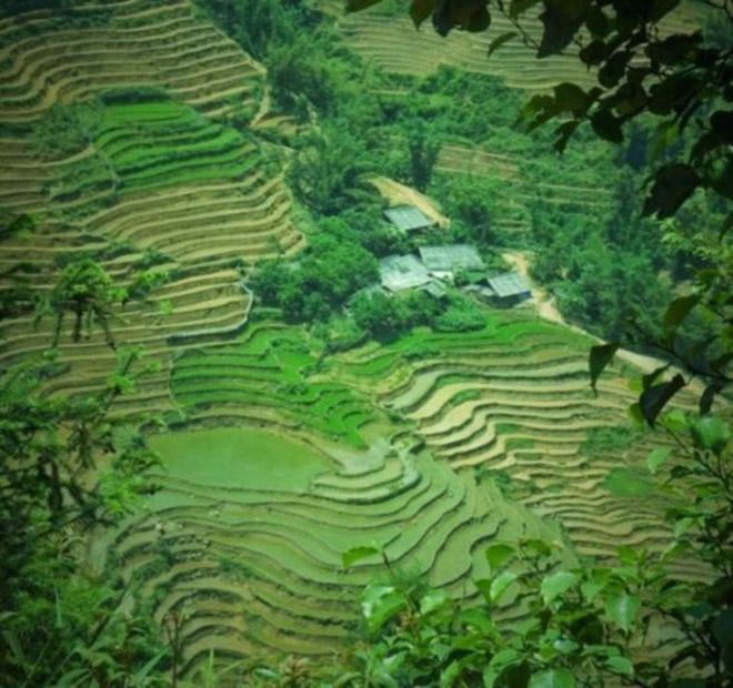 Eons of terracing has sculpted the Vietnam mountain sides © Jordan & Judy Mills