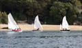 Salcombe Yacht Club Autumn Series Race 4 &copy; Lucy Burn