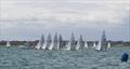 CraftInsure Silver Scorpions at Lymington © Nick Lightbody