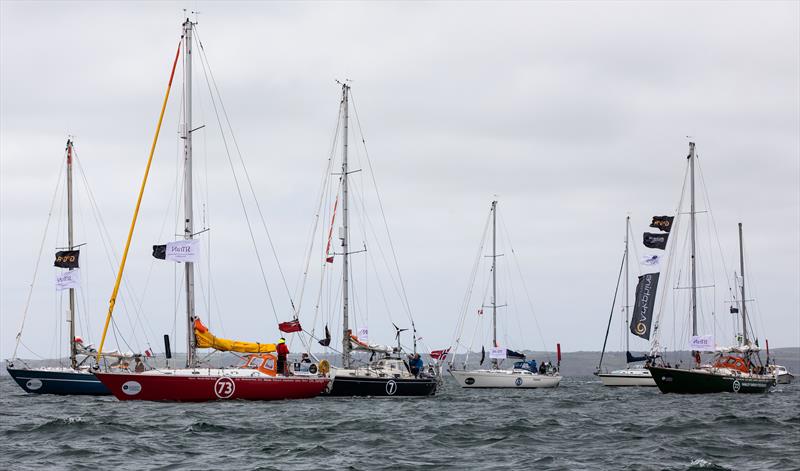 Falmouth Parade of Sail photo copyright Dave Hart taken at  and featuring the  class