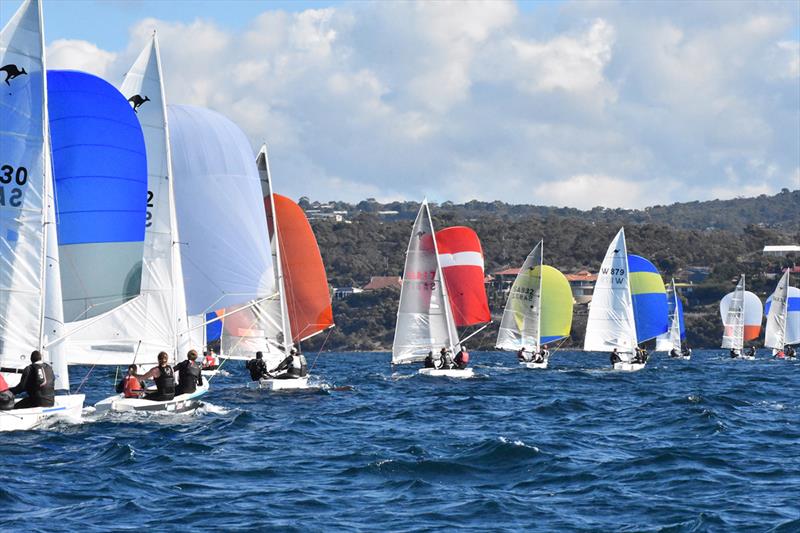 SA Summer of Sail Launch Regatta - photo © Harry Fisher