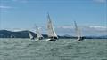 Sigma 33 Offshore One-Design Class Championship 2025 © Karolina Badz