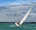 Sigma 33 Offshore One-Design Class Championship 2025 © Karolina Badz