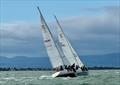 Sigma 33 Offshore One-Design Class Championship 2025 © Karolina Badz