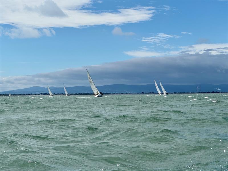 Sigma 33 Offshore One-Design Class Championship 2025 photo copyright Karolina Badz taken at Howth Yacht Club and featuring the Sigma 33 class