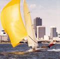 NSW entry Chesty Bond , without wings, on the Swan River at the 1980 Australian Championship © Archive
