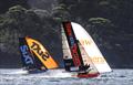 Shaw and Partners and Sixt at speed on a Southerly spinnaker run in 2025-26 &copy; SailMedia