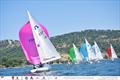 International Friendship League Championship Soling Class © Andrea Baban | RCNM