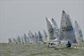 Solo Nation's Cup at Medemblik - Day 3 © Will Loy