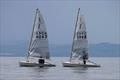 HD Sails Scottish Solo Championships at East Lothian © Steve Fraser