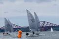 HD Sails Scottish Solo Travellers at Dalgety Bay © Patrick Burns