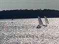 Solos in the sun at Dell Quay Sailing Club &copy; James Pound