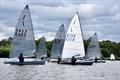Solo class Eastern Series on Wroxham Broad &copy; Trish Barnes