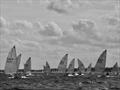 Great fleet racing is guaranteed &copy; Will Loy