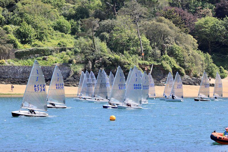 Sailing Club Series race 5 at Salcombe YC photo copyright Lucy Burn taken at Salcombe Yacht Club and featuring the Solo class