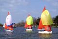 Squib Broadland Regatta - a lighter wind moment © Chris Jordan