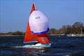 Squib Broadland Regatta © Chris Jordan