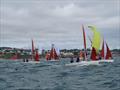 Squib Nationals 2025 at Torbay Day 5 © Nicola Davies