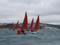 Squib Nationals 2025 at Torbay Day 5 © Nicola Davies