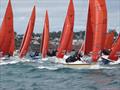 Squib Nationals 2025 at Torbay Day 5 © Nicola Davies