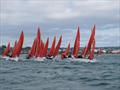 Squib Nationals 2025 at Torbay Day 5 © Nicola Davies