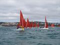 Squib Nationals 2025 at Torbay Day 5 © Nicola Davies