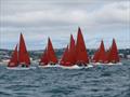 Squib Nationals 2025 at Torbay Day 5 © Nicola Davies