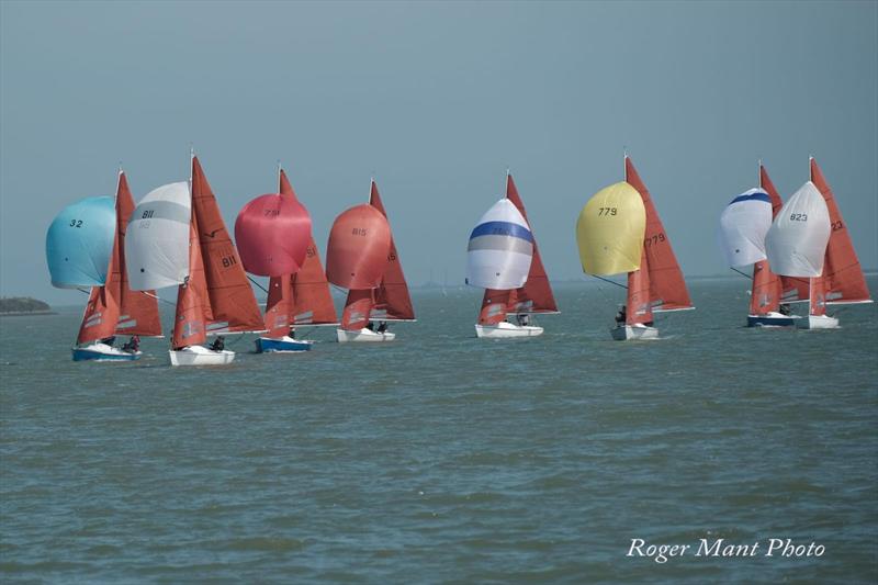 2026 Squib Gold Cup at Burnham-on-Crouch photo copyright Roger Mant Photography taken at Royal Corinthian Yacht Club and featuring the Squib class
