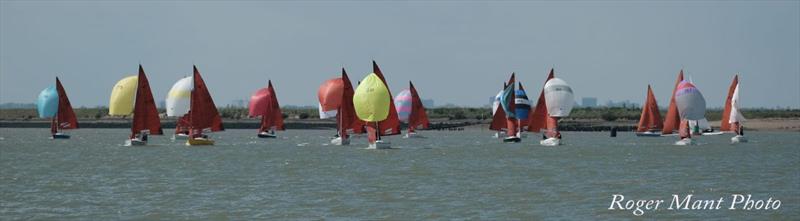2026 Squib Gold Cup at Burnham-on-Crouch - photo © Roger Mant Photography