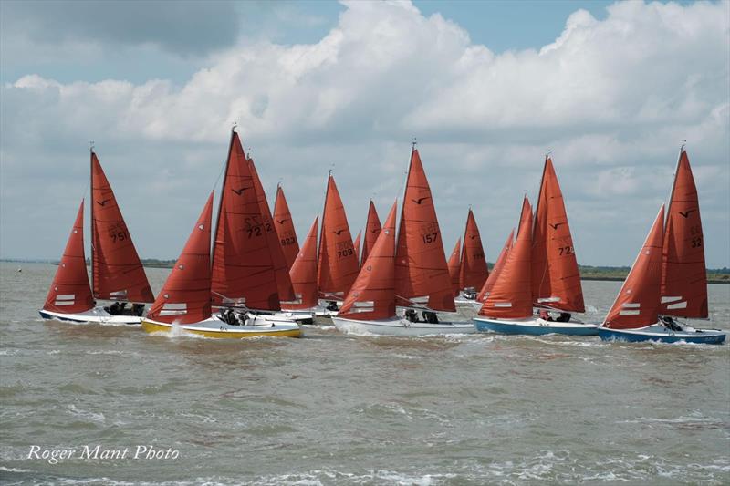 2026 Squib Gold Cup at Burnham-on-Crouch - photo © Roger Mant Photography