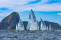2025 South American Championship day 4 &copy; International Star Class / Fred Hoffman