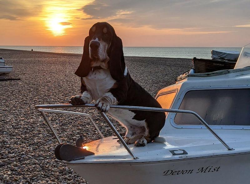 Stoneways' Marine Amateur Photographer of the Year 2022: Colin Gwyer - April photo copyright Colin Gwyer taken at  and featuring the  class