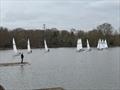 Streaker Southern Paddle at Tamworth  © Tanya Williamson