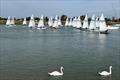 25 boats fill the River Crouch at the Up River Streaker Open © Jane Berry