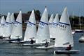 Busy starts at the Up River Streaker Open © Helen Rees