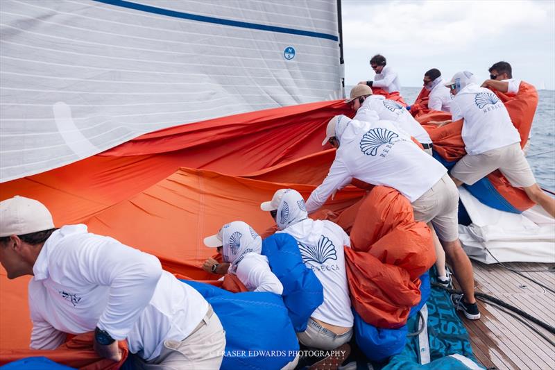 Rebecca - Superyacht Challenge Antigua 2026 Day 2 - photo © Fraser Edwards Photography